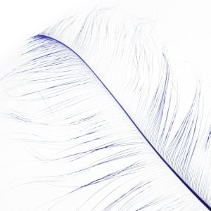 www.houseofadorn.com - Feather Ostrich Burnt Plume 60cm - Cobalt Blue
