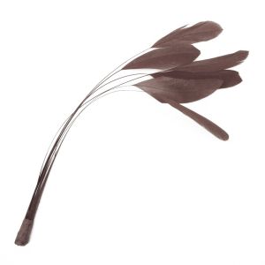 www.houseofadorn.com - Feather Stripped Coque Bunch of 6 (20-25cm) - Dusty Brown