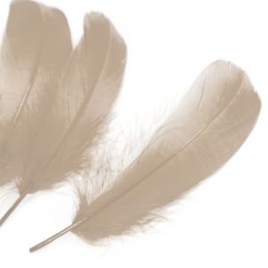 www.houseofadorn.com - Feather Goose Nagoire Hand Selected Loose (Pack of 24) - Beige