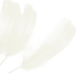 www.houseofadorn.com - Feather Goose Nagoire Hand Selected Loose (Pack of 24) - Ivory