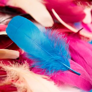 www.houseofadorn.com - Feather Goose Nagoire Hand Selected Loose (Pack of 24)
