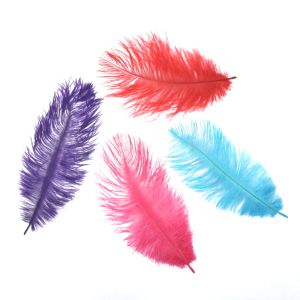 www.houseofadorn.com - Feather Ostrich Plume 15-20cm (Pack of 3)