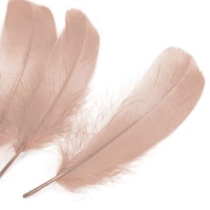 www.houseofadorn.com - Feather Goose Nagoire Hand Selected Loose (Pack of 24) - Latte