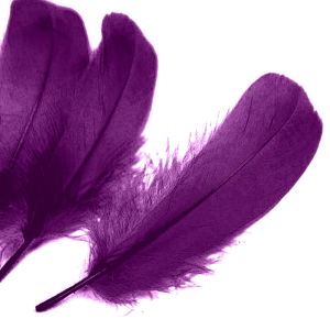 www.houseofadorn.com - Feather Goose Nagoire Hand Selected Loose (Pack of 24) - Plum