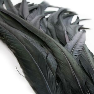 www.houseofadorn.com - Feather Rooster Coque Tail Loose (Pack of 3)