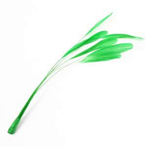 www.houseofadorn.com - Feather Stripped Coque Bunch of 6 (20-25cm) - Emerald Green