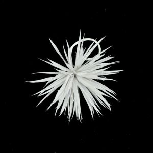 www.houseofadorn.com - Flower Feather Spiky Biot Thistle - White
