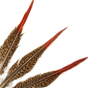 www.houseofadorn.com - Feather Pheasant Golden Tail w Natural Red Tips (Pack of 3) - 25-30cm