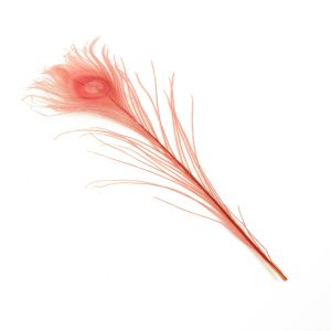 www.houseofadorn.com - Feather Peacock Eye (20-30cm) - Dyed Colours (Pack of 3) - Flamingo