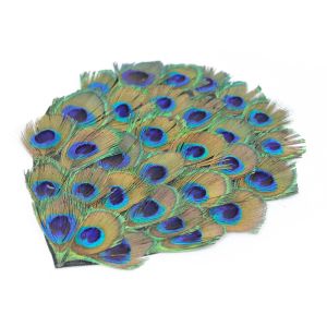 www.houseofadorn.com - Feather Peacock Pad - 16cm - Eyes (Trimmed)