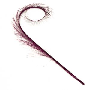 www.houseofadorn.com - Feather Pheasant Burnt & Curled - Purple