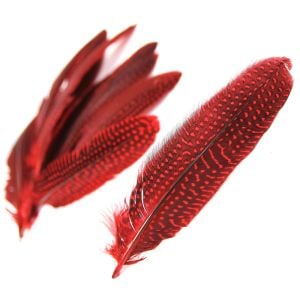 www.houseofadorn.com - Feather Guinea Fowl Quills (Pack of 10) - Red