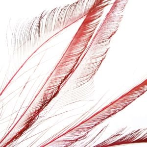 www.houseofadorn.com - Feather Peacock Sword (30-40cm) - Dyed Colours (Pack of 3) - Red