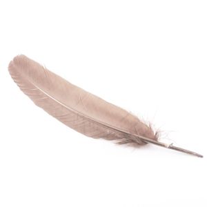 www.houseofadorn.com - Feather Turkey Full Quill (Pack of 3) - Latte