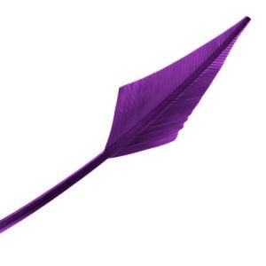 www.houseofadorn.com - Feather Turkey Arrowhead - Plum