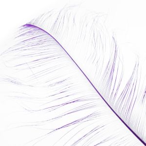 www.houseofadorn.com - Feather Ostrich Burnt Plume 60cm - Purple