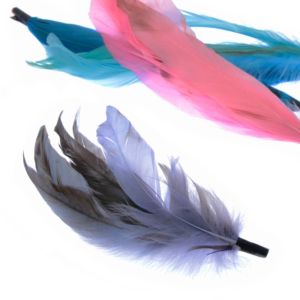 www.houseofadorn.com - Feather Coque Bunch of 6 with Natural Markings