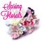 Spring Florals - NEW Arrivals at great prices!