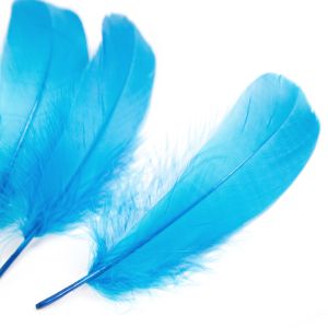 www.houseofadorn.com - Feather Goose Nagoire Hand Selected Loose (Pack of 24) - Aqua Blue