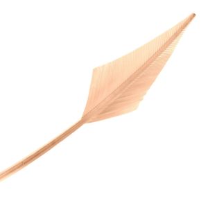 www.houseofadorn.com - Feather Turkey Arrowhead - Dusty Pink