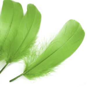 www.houseofadorn.com - Feather Goose Nagoire Hand Selected Loose (Pack of 24) - Apple Green