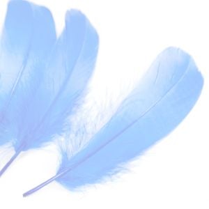 www.houseofadorn.com - Feather Goose Nagoire Hand Selected Loose (Pack of 24) - Baby Blue