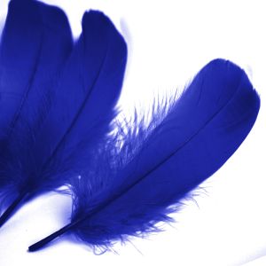 www.houseofadorn.com - Feather Goose Nagoire Hand Selected Loose (Pack of 24) - Cobalt Blue