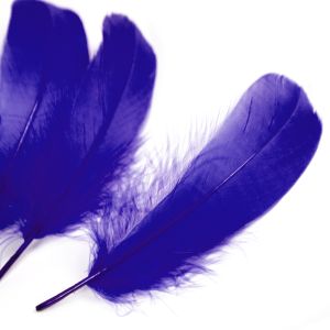 www.houseofadorn.com - Feather Goose Nagoire Hand Selected Loose (Pack of 24) - Cobalt Blue