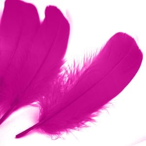 www.houseofadorn.com - Feather Goose Nagoire Hand Selected Loose (Pack of 24) - Hot Pink