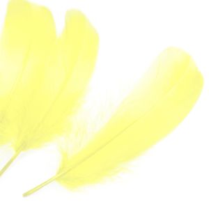 www.houseofadorn.com - Feather Goose Nagoire Hand Selected Loose (Pack of 24) - Lemon