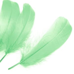 www.houseofadorn.com - Feather Goose Nagoire Hand Selected Loose (Pack of 24) - Mint