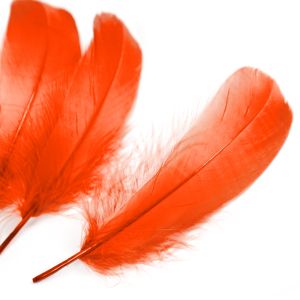 www.houseofadorn.com - Feather Goose Nagoire Hand Selected Loose (Pack of 24) - Orange