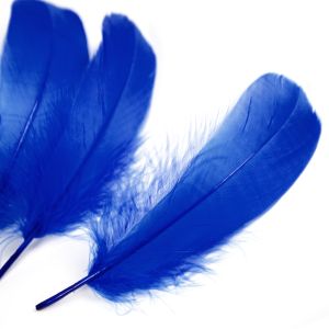 www.houseofadorn.com - Feather Goose Nagoire Hand Selected Loose (Pack of 24) - Royal Blue