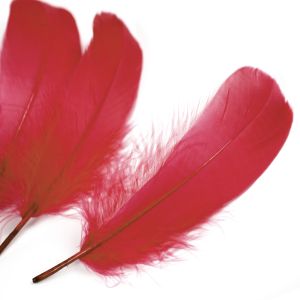 www.houseofadorn.com - Feather Goose Nagoire Hand Selected Loose (Pack of 24) - Red