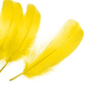 www.houseofadorn.com - Feather Goose Nagoire Hand Selected Loose (Pack of 24) - Yellow