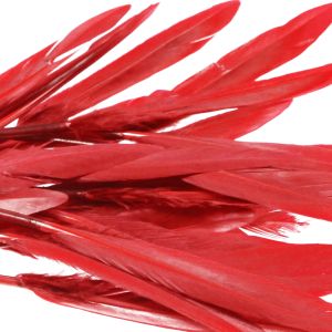 www.houseofadorn.com - Feather Goose Pointers - Small - Red (Pack of 24)