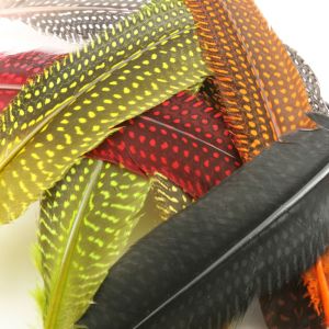 www.houseofadorn.com - Feather Guinea Fowl Quills (Pack of 10)