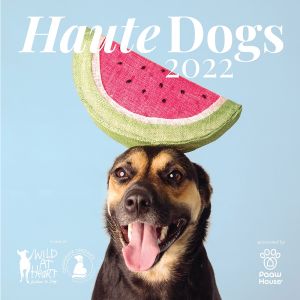 www.houseofadorn.com - Haute Dogs 2022 Calendar