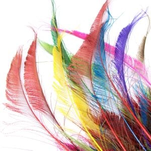 www.houseofadorn.com - Feather Peacock Sword (40-50cm) - Dyed Colours (Pack of 3)