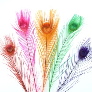 www.houseofadorn.com - Feather Peacock Eye (20-30cm) - Dyed Colours (Pack of 3)