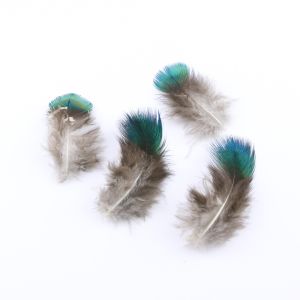 www.houseofadorn.com - Feather Peacock Plumage - Green (Pack of 20)