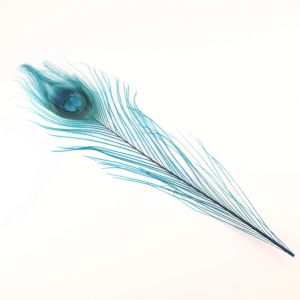 www.houseofadorn.com - Feather Peacock Eye (20-30cm) - Dyed Colours (Pack of 3) - Teal
