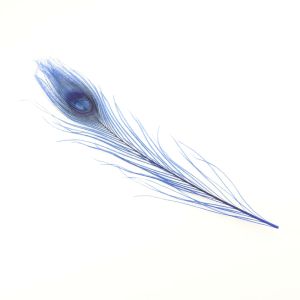 www.houseofadorn.com - Feather Peacock Eye (20-30cm) - Dyed Colours (Pack of 3) - Blue
