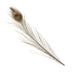 www.houseofadorn.com - Feather Peacock Eye (20-30cm) - Dyed Colours (Pack of 3) - Taupe