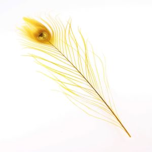 www.houseofadorn.com - Feather Peacock Eye (20-30cm) - Dyed Colours (Pack of 3) - Yellow