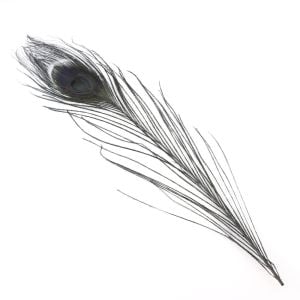 www.houseofadorn.com - Feather Peacock Eye (20-30cm) - Dyed Colours (Pack of 3) - Black