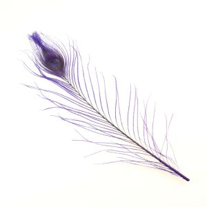 www.houseofadorn.com - Feather Peacock Eye (20-30cm) - Dyed Colours (Pack of 3) - Purple