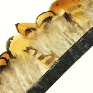 www.houseofadorn.com - Feather Venery Reeve Plumage on Fringe (Price for 50cm) - Gold w Black Rim