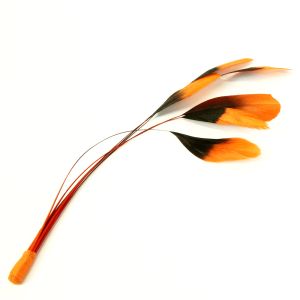 www.houseofadorn.com - Feather Stripped Coque Bunch of 6 - Black w Dyed Tips - Orange