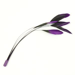 www.houseofadorn.com - Feather Stripped Coque Bunch of 6 - Black w Dyed Tips - Purple